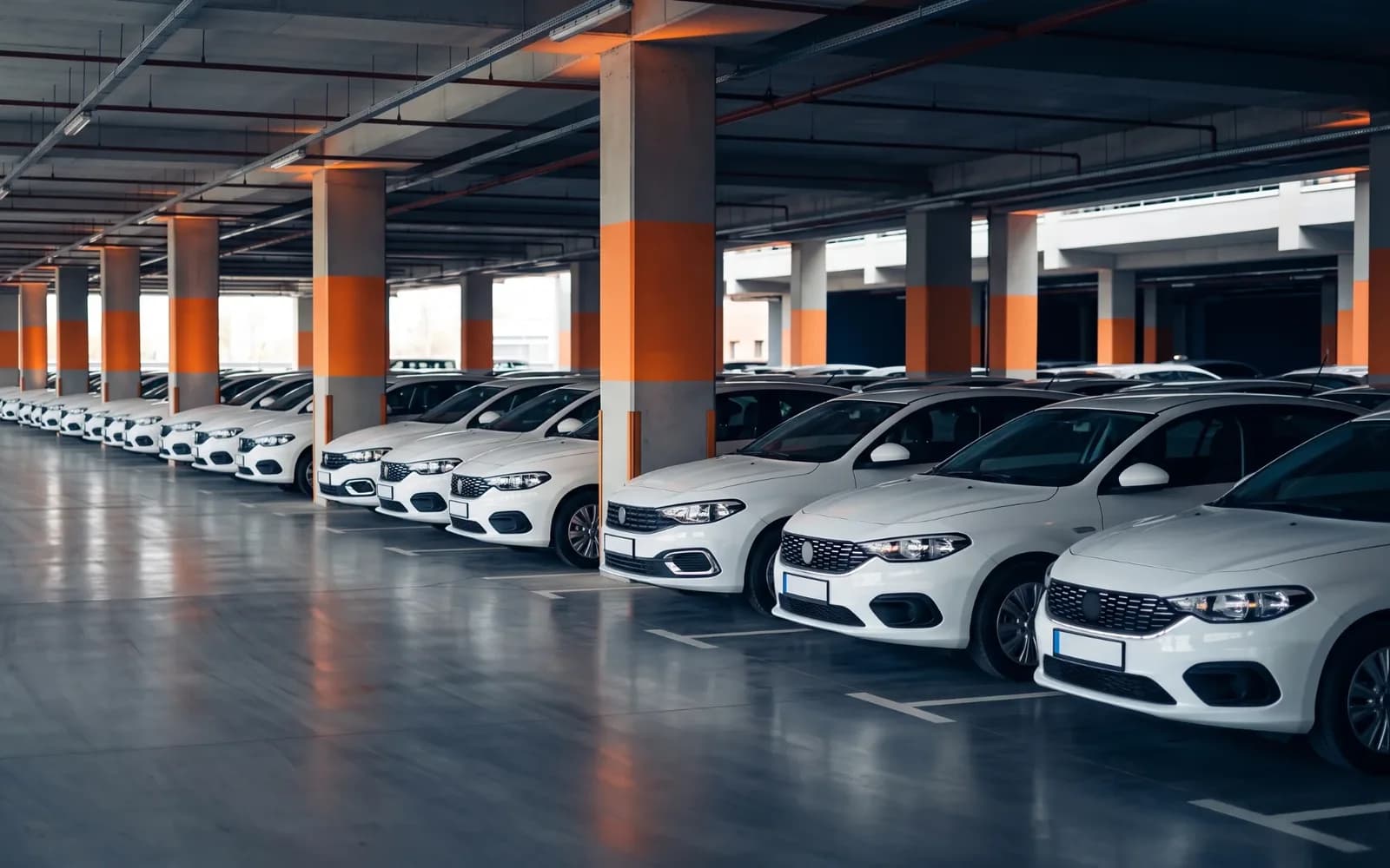 CheckPark filo otoparkı: kapalı otoparkta düzenli park edilmiş kurumsal araçlar